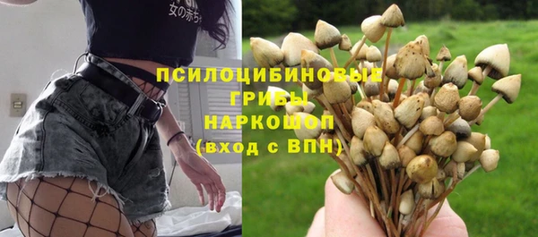 дмт Алексеевка
